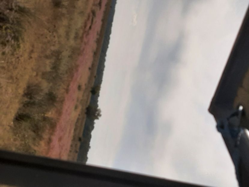  - Murighiol - Pădurea Letea