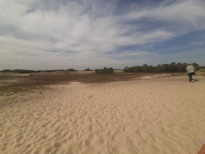  - Murighiol - Pădurea Letea