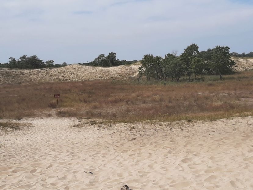  - Murighiol - Pădurea Letea