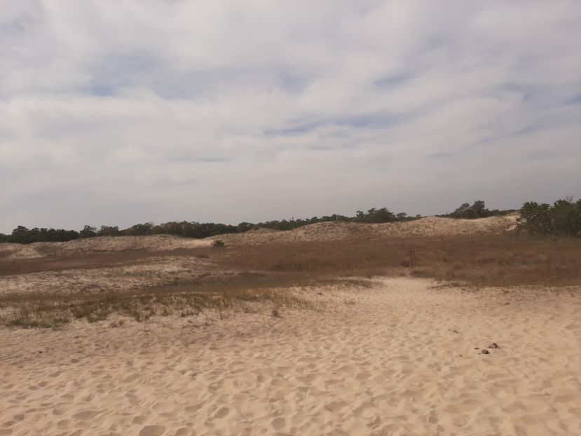  - Murighiol - Pădurea Letea