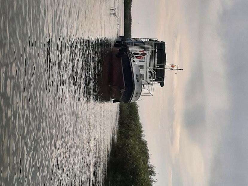  - Murighiol - Pădurea Letea