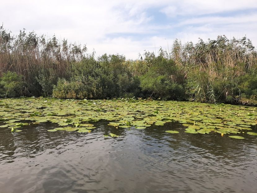  - Murighiol - Pădurea Letea