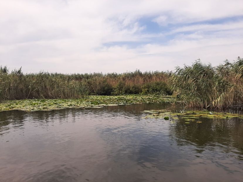  - Murighiol - Pădurea Letea