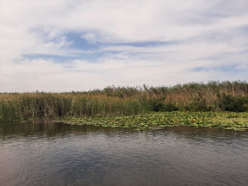  - Murighiol - Pădurea Letea