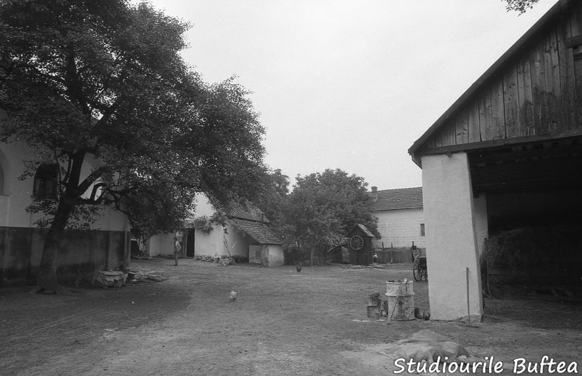Padureanca - Padureanca 1986