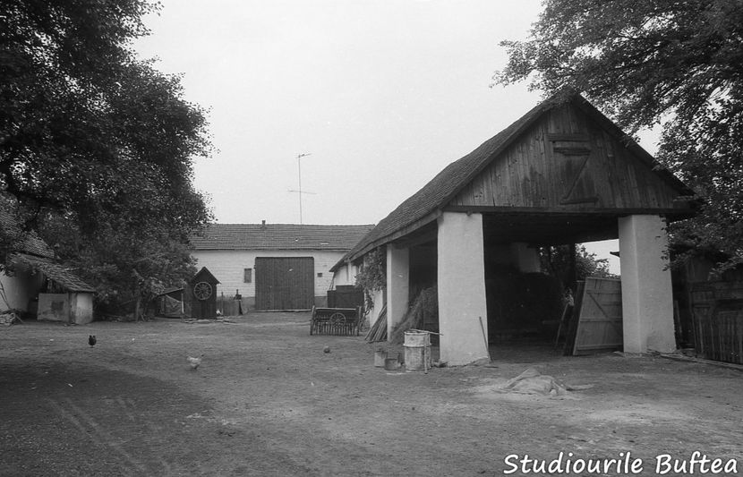 Padureanca - Padureanca 1986