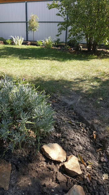 septembrie 2021 - Gradina si terasa PrimaLuce_8-Hello 2021