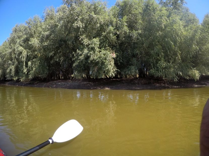 GOPR6860 - Caiac Delta Dunarii - Parches