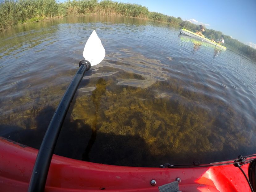 GOPR6903 - Caiac Delta Dunarii - Parches