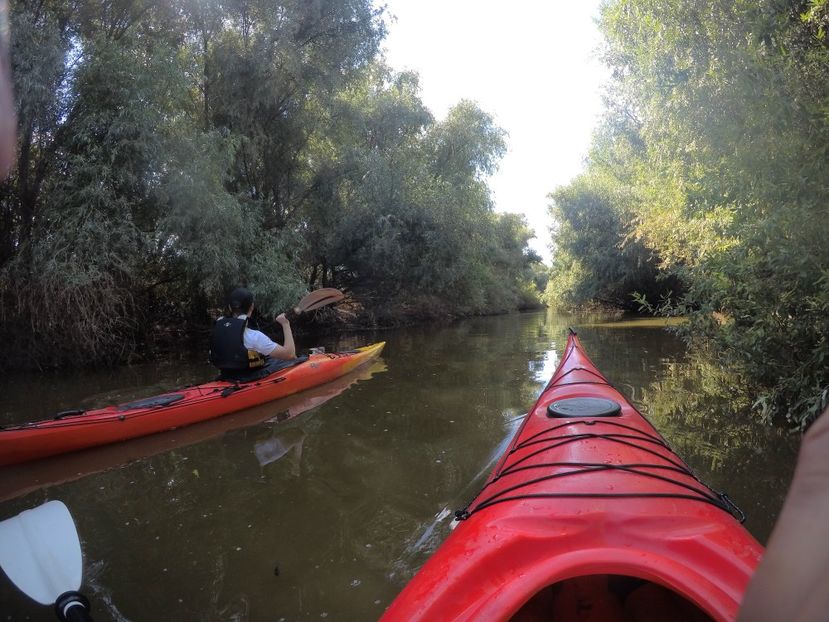 GOPR6918 - Caiac Delta Dunarii - Parches