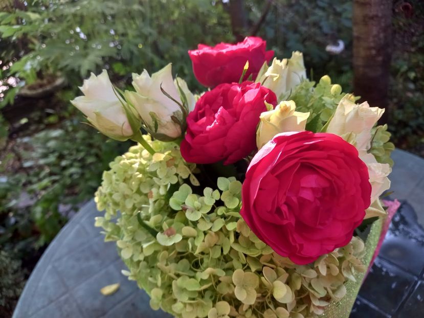  - Grădina 2021 continuare 2