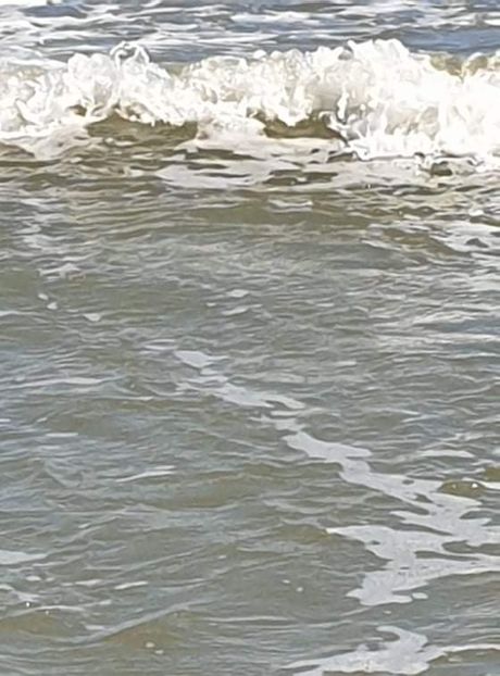 received_215816290595915 - Marea Neagra la Sfântul Gheorghe