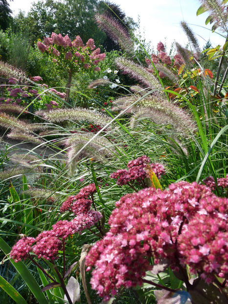  - 2021 - 03 - Toamna