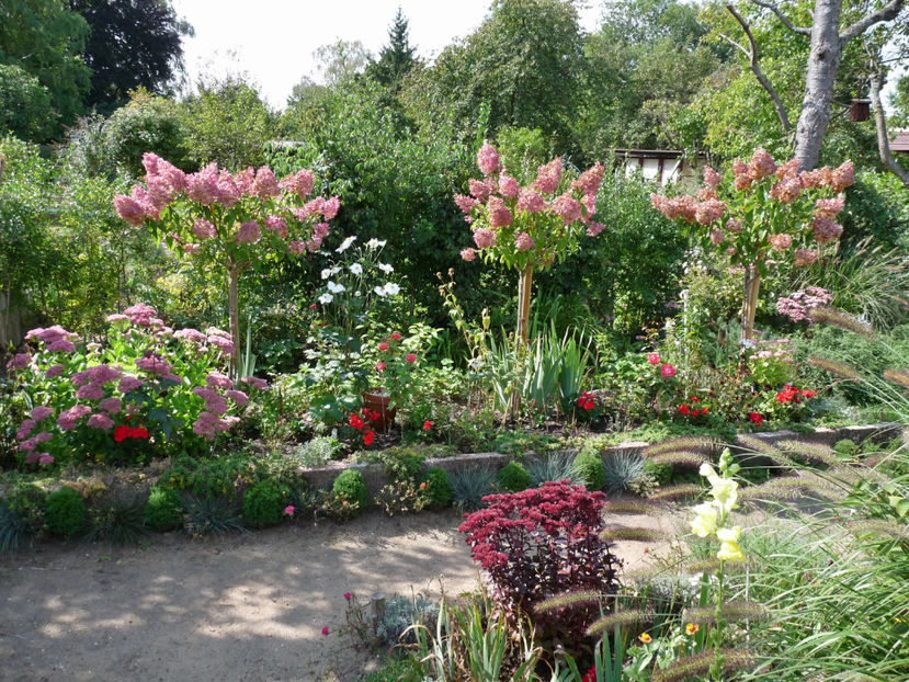  - 2021 - 03 - Toamna