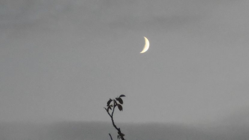 Luna in crestere in Scorpion - Luna - Soarele si norii - 2