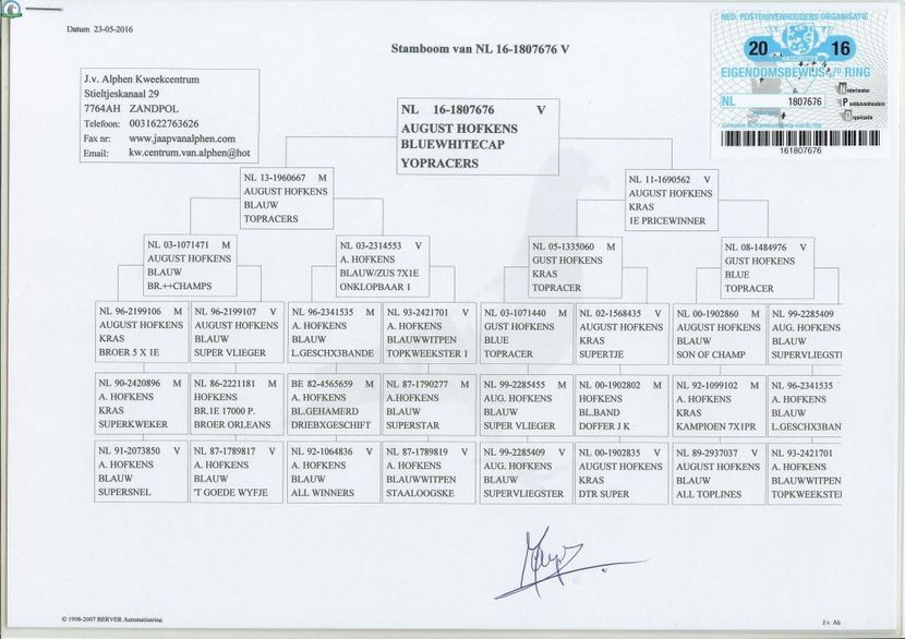  - Achizitii porumbei -2021