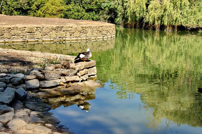  - Parco BUCCI-FAENZA