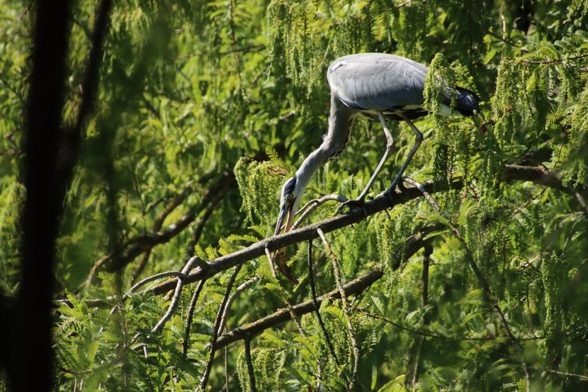  - Parco BUCCI-FAENZA