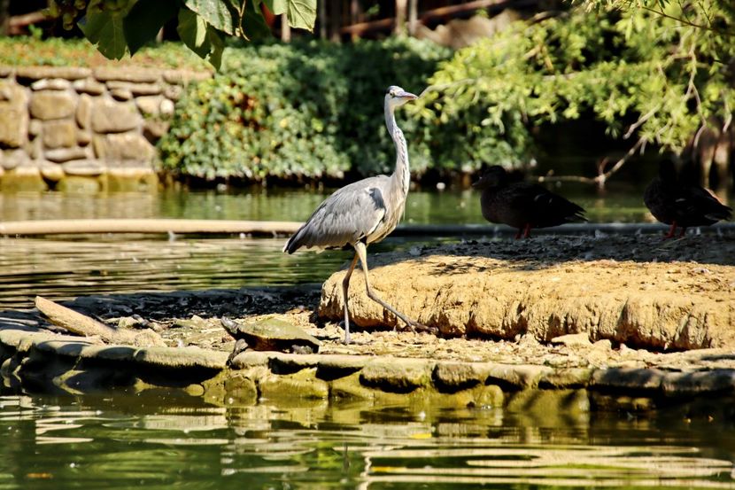  - Parco BUCCI-FAENZA