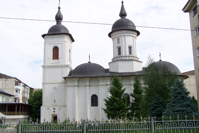 100_2781 - botosani