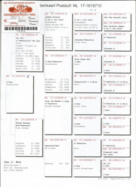 10ped - Achizitii porumbei -2021