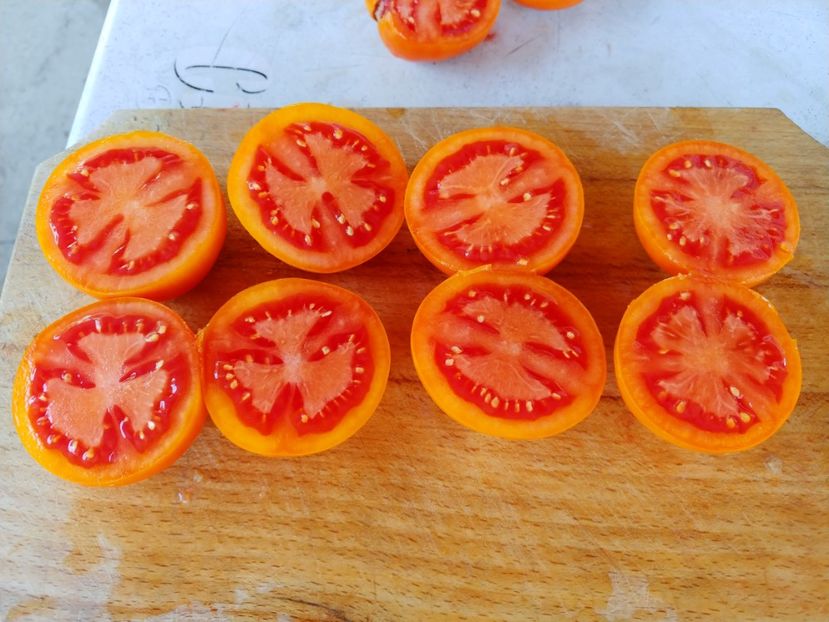 ZLATAVA 05.08 (17) - ZLATAVA