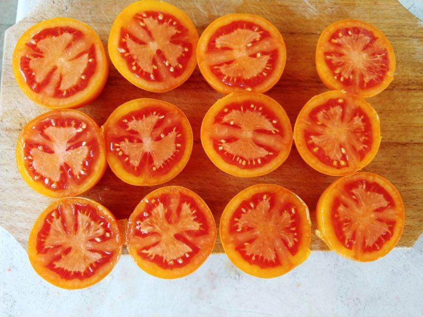 ZLATAVA 05.08 (19) - ZLATAVA