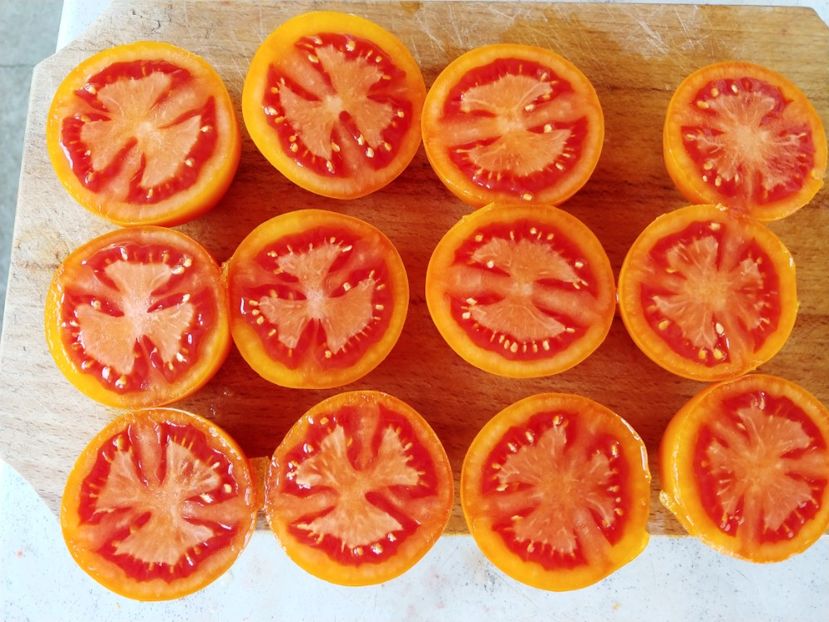 ZLATAVA 05.08 (20) - ZLATAVA