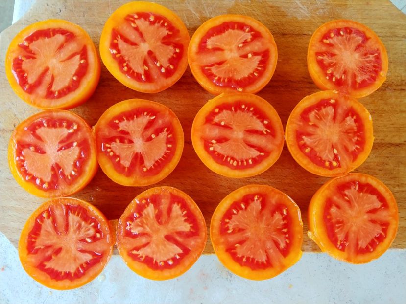 ZLATAVA 05.08 (22) - ZLATAVA