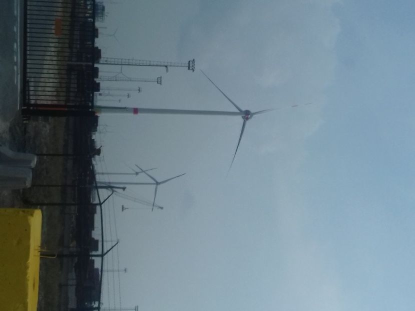 20210919_135009(0) - Belgia tati