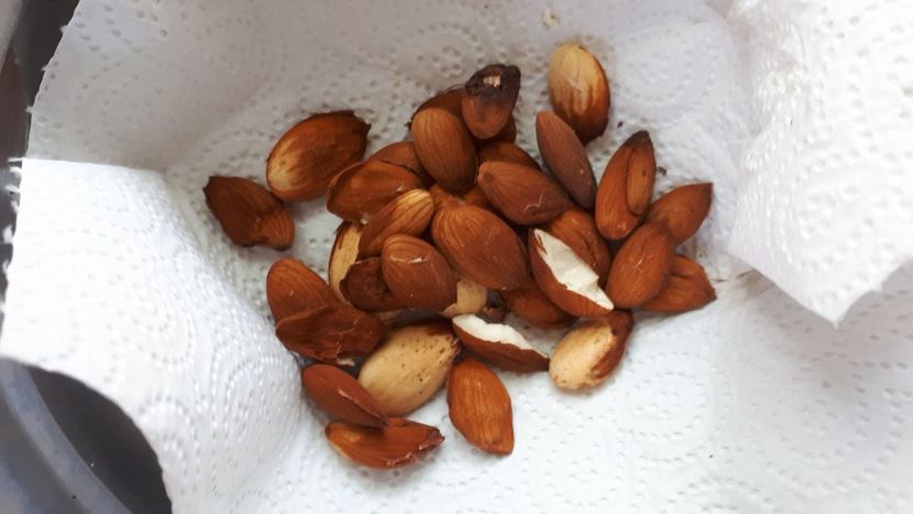 IMG-20210919-WA0030 - 2021