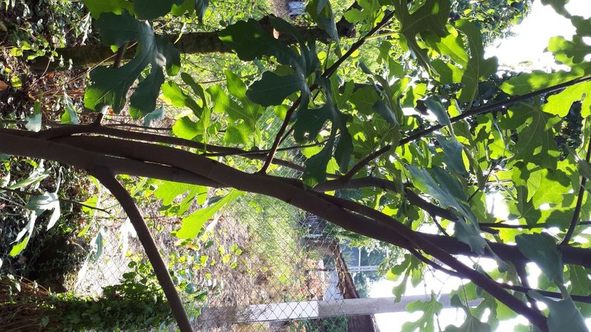 IMG-20210829-WA0029 - 2021