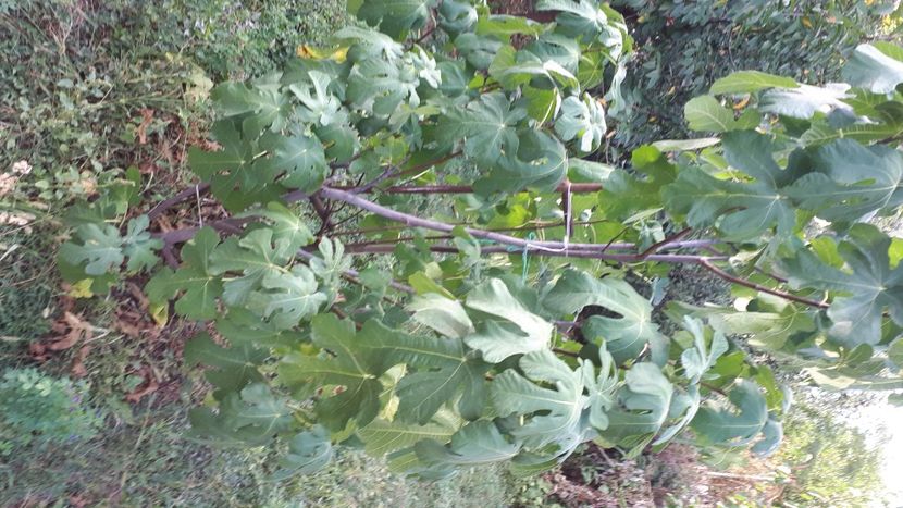 IMG-20210829-WA0023 - 2021