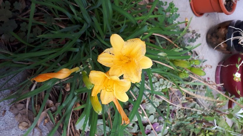 IMG-20210829-WA0013 - 2021