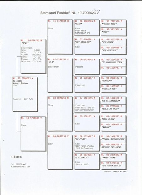 23ped - Achizitii porumbei -2021