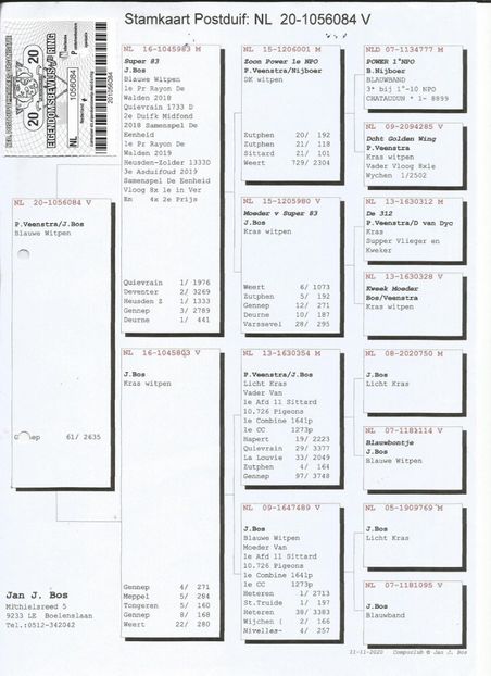 84ped - Achizitii porumbei -2021