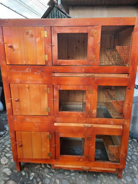 cusca 1 - cusca noua iepuri 2