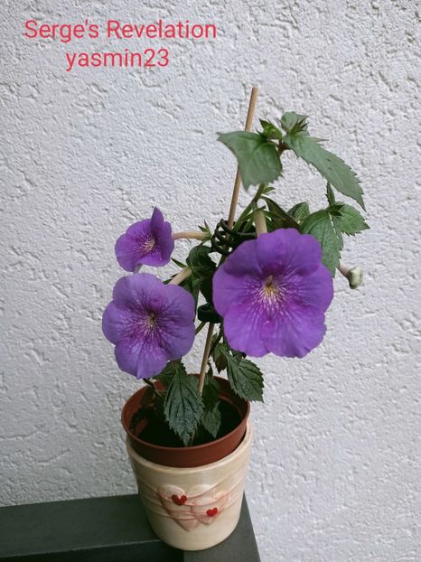 19.09.2021 - Serge-s Revelation 2