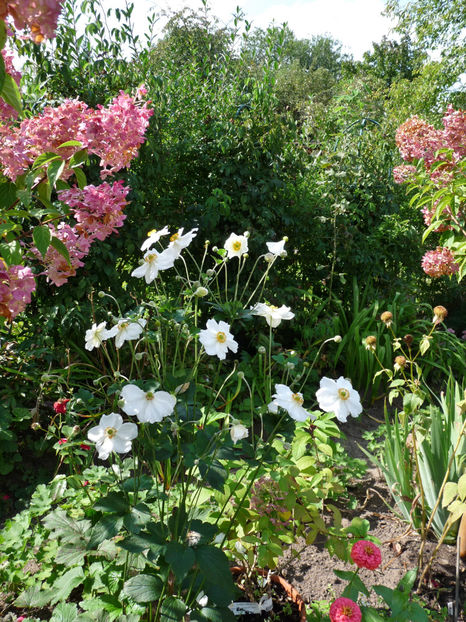  - 2021 - 03 - Toamna