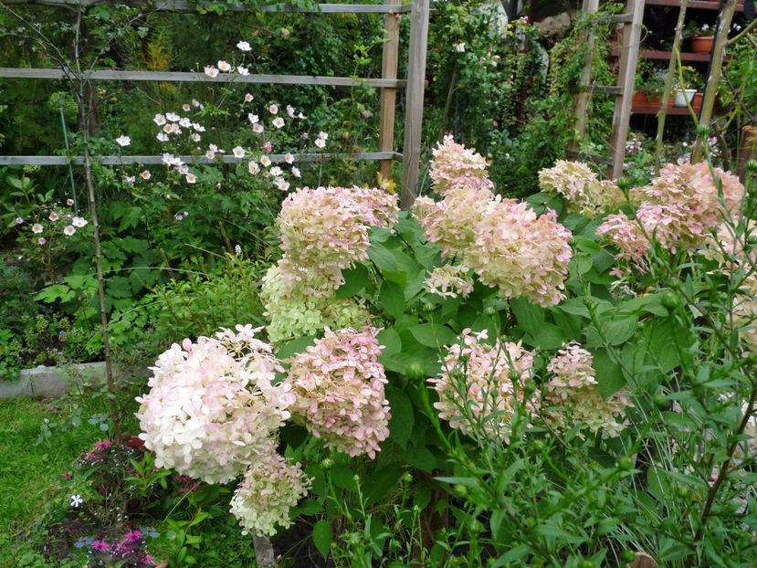  - 2021 - 03 - Toamna