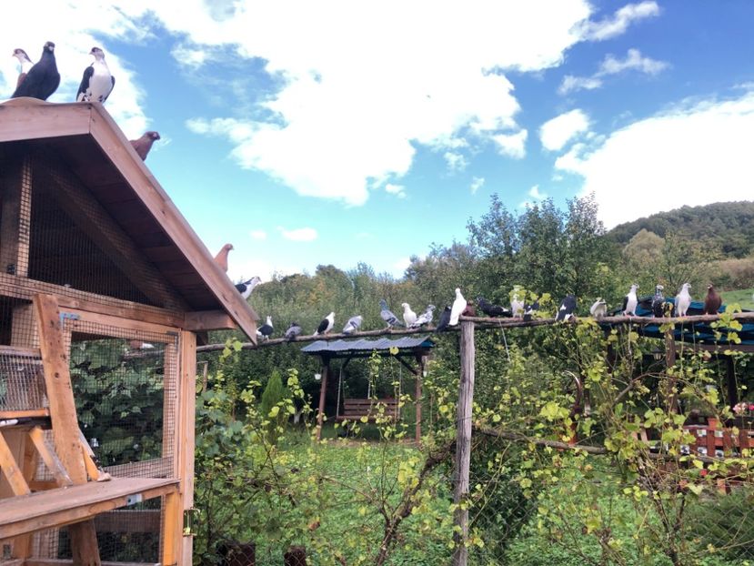  - 00000001 pe afară