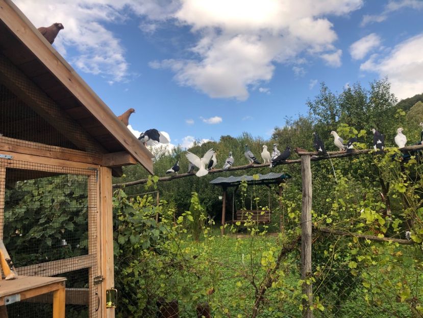  - 00000001 pe afară