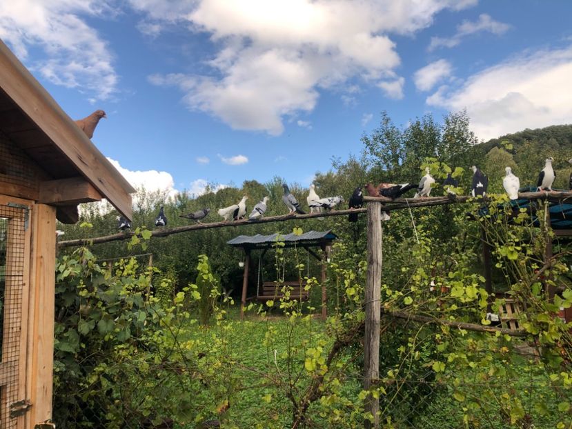  - 00000001 pe afară
