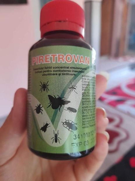  - MEDICAMENTE PUI DE RASĂ