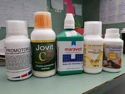  - MEDICAMENTE PUI DE RASĂ