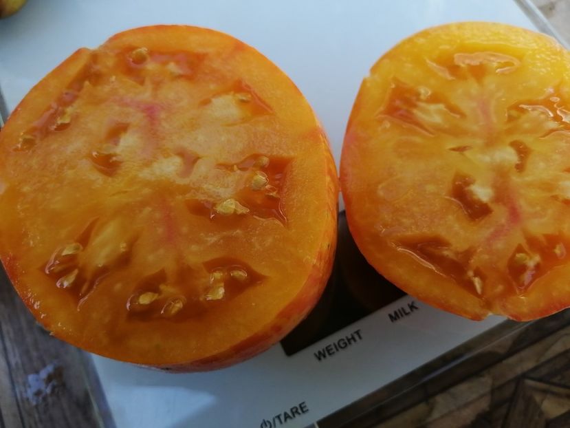  - SEMINTE ROSII - T 733 BLEEDING HEART