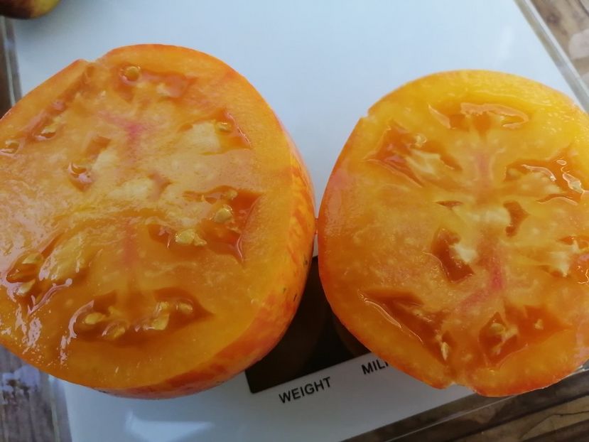  - SEMINTE ROSII - T 733 BLEEDING HEART