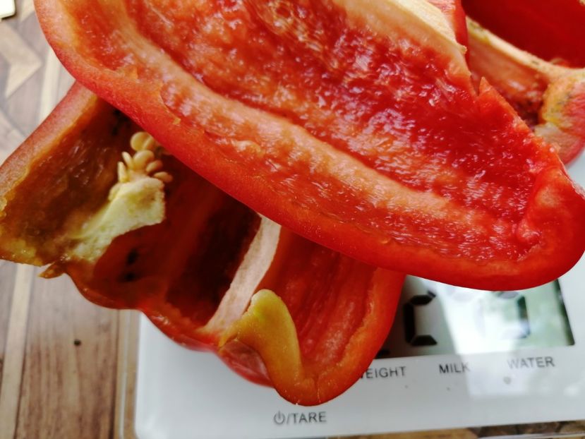  - SEMINTE ARDEI - A 35 KRASNYY BYK PAPRIKA