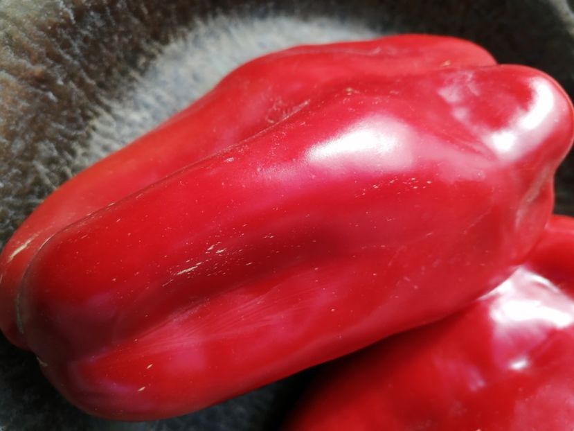  - SEMINTE ARDEI - A 38 PADISHAH PAPRIKA