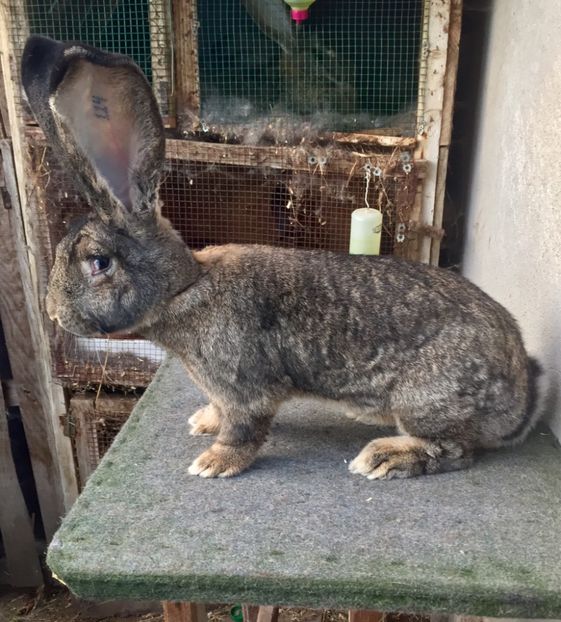 6ACE87BF-1DCE-42D8-82A4-FD30FF050F9D - RO 8-114